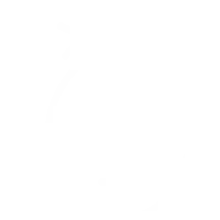 Salary